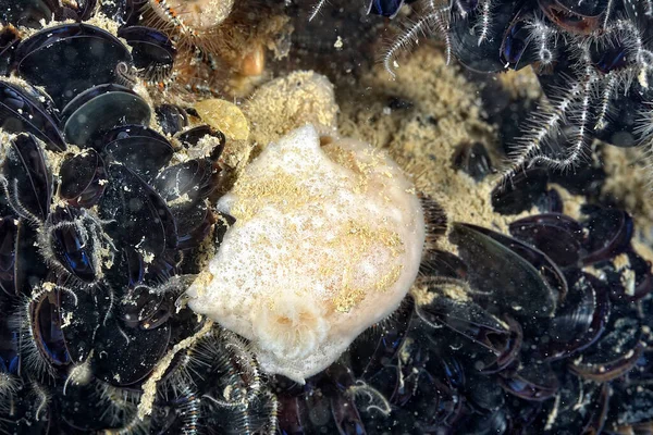 Renkli ve güzel dalların bir resmi.