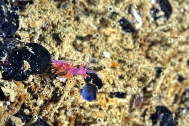 Renkli ve güzel dalların bir resmi.