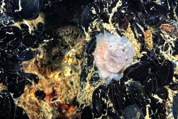 Renkli ve güzel dalların bir resmi.