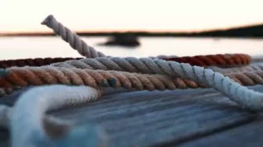 Sardunya 'nın güzel yerinin detayları.