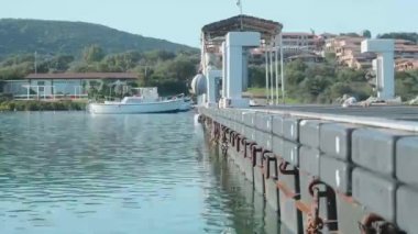 Sardunya 'nın güzel yerinin detayları.