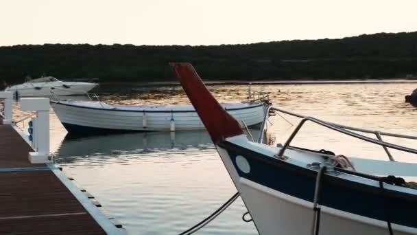 Details Van Een Prachtige Sardijnse Locatie — Stockvideo