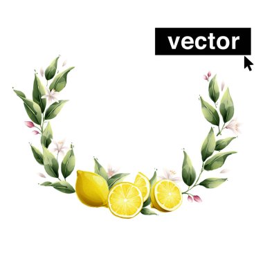 Vector lemon wreath watercolor style illustration. Set of green leaves, flowers, buds, and branches. Citrus fruit slices and splashing juice arrangements.