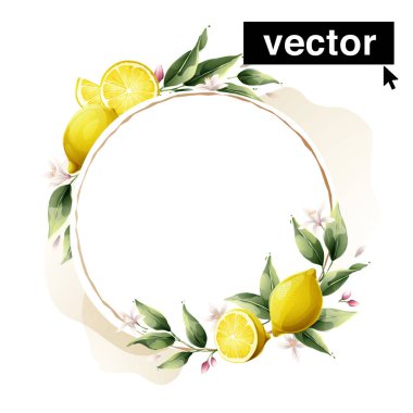 Hand-drawn watercolor painting lemon frame on white background. Vector illustration of green leaves, flowers, buds, and branches. Citrus fruit slices and splashing juice arrangements.