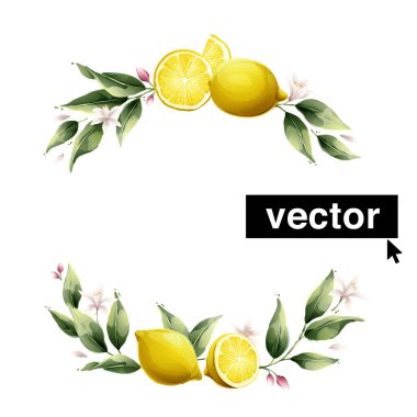 Vector lemon wreath watercolor style illustration. Set of green leaves, flowers, buds, and branches. Citrus fruit slices and splashing juice arrangements.