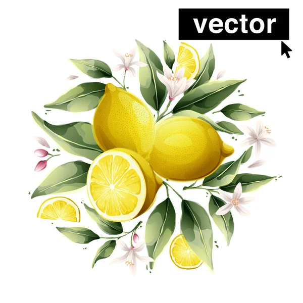 Beautiful Vector Bouquet Watercolor Yellow Lemon Fruits Leaves Flowers Perfect — 图库矢量图片