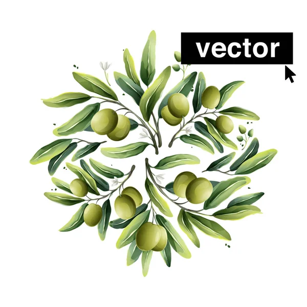 Beau Bouquet Cercle Vectoriel Avec Des Baies Olives Méditerranéennes Des — Image vectorielle