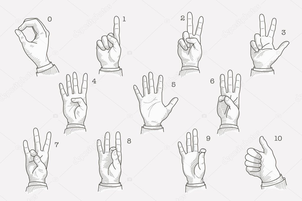 Numbers set in a deaf-mute hand gesture alphabet. Hand-drawn engraving style vector American sign language illustration.