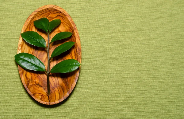 Natural branch with leaves on a wooden plate on a green background