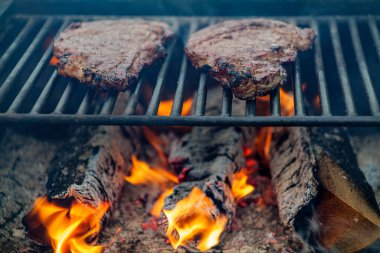 Bbbq ızgara ızgaralarından yakacak odun ve alevler. Yüksek kaliteli fotoğraf.