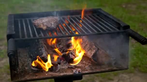 Homme Cuire Des Steaks Viande Sur Gril Professionnel Extérieur Images — Video