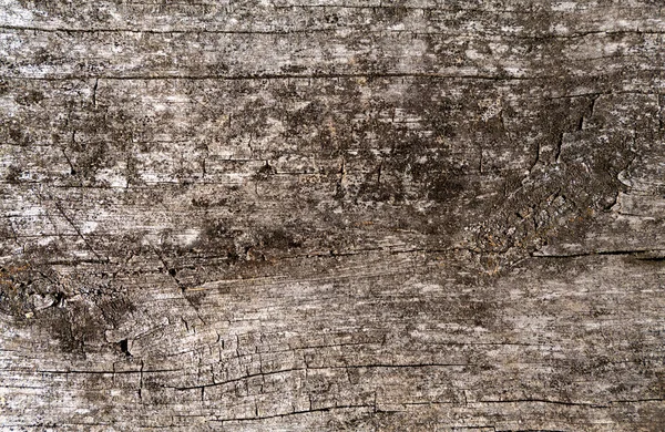 Повне Зображення Рамки Повного Зображення Рамки Старого Сірого Дерев Яного — стокове фото
