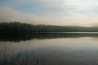 New Jersey Botanik Bahçesi, Sheppard Gölü 'nde sisli bir sabahta suyun yansıması. Yüksek kaliteli fotoğraf.