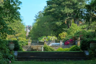 Botanik bahçesindeki ara sokakta eski adımlar. Yüksek kaliteli fotoğraf.