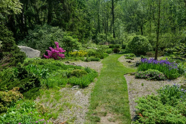 Квіти Ботанічному Саду Нью Джерсі Травою Стежкою Якому Літньому Сонячному — стокове фото