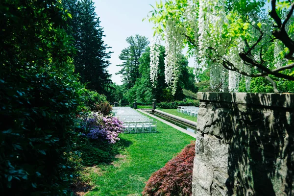 White Wedding Chairs Lined Up before a Real Life Outdoor Summer Wedding In New Jersey Botanical Garden Alley . Hight-quality photo