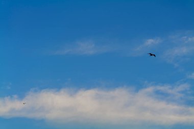 Deep blue skies with white clouds background with space for text, blue cloudy skies texture, dark blue sky wallpaper with with white fully clouds. High-quality photo