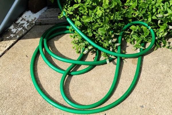 Water Hose Concrete Floor Backyard High Quality Photo — Photo