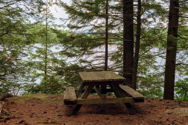 Old wooden picnic table in the spruce forest, near North-South lake. High quality photo