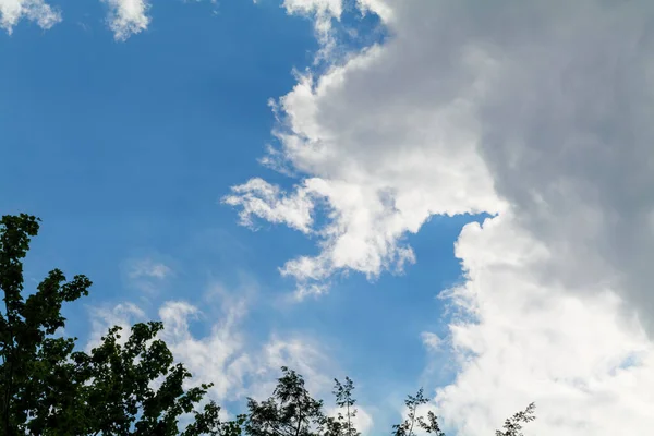 beautiful nature blue sky with clouds and trees, sky clouds background, copy space. High quality photo