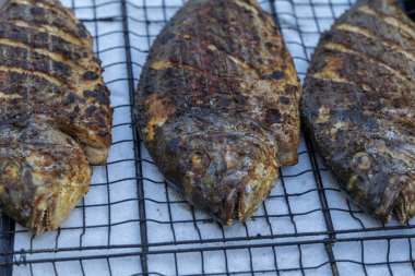 Kömür ızgarasında ızgara Dorado balığı. Yüksek kalite fotoğraf