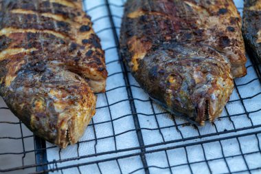 Kömür ızgarasında ızgara Dorado balığı. Yüksek kalite fotoğraf