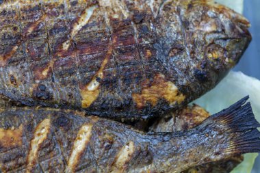 Kömür ızgarasında ızgara Dorado balığı. Yüksek kalite fotoğraf