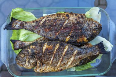 Kömür ızgarasında ızgara Dorado balığı. Yüksek kalite fotoğraf