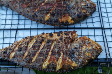 Kömür ızgarasında ızgara Dorado balığı. Yüksek kalite fotoğraf