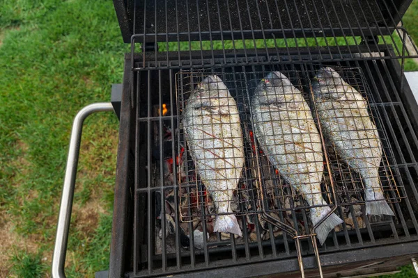 Grillproces Van Dorado Vis Een Houtskool Barbecue Achtertuin Hoge Kwaliteit — Stockfoto