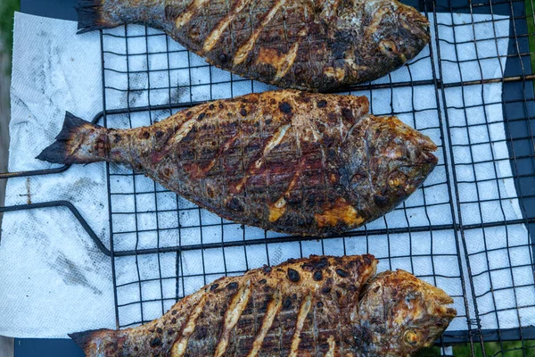 烤多拉多鱼在木炭烤架上 高质量的照片 — 图库照片