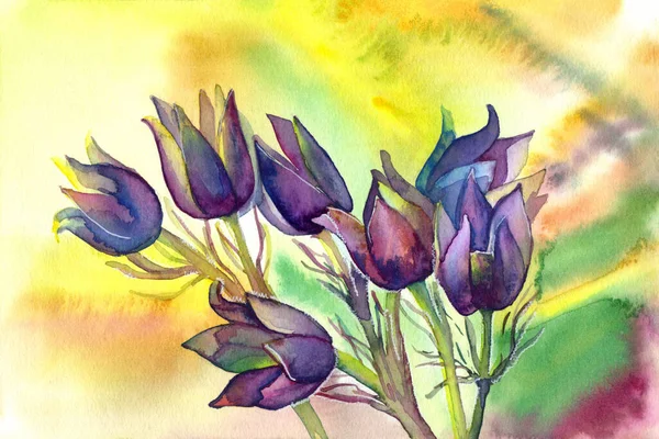 春の花紫色の黄色の水彩多色の背景 — ストック写真