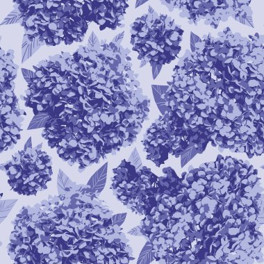 Kusursuz desen açan ortanca çiçeğinin mor rengi