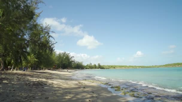 Playa tropical en Puerto Rico — Vídeo de stock