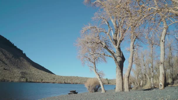 Tavolo da picnic a riva in autunno al lago californiano — Video Stock