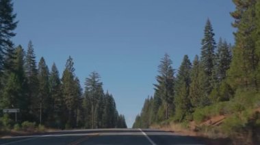 POV Driving along Volcanic Legacy Scenic Byway forest road clear sunny day