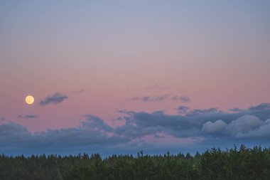 Orman manzarası üzerinde yükselen sarı ay ile dramatik bir akşam göğü. 