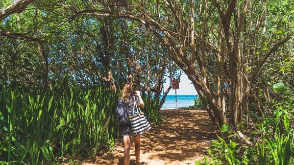 Woman Hiking Walking Path Mangrove Forest Canopy Opening Beach Puerto — Stock Photo, Image