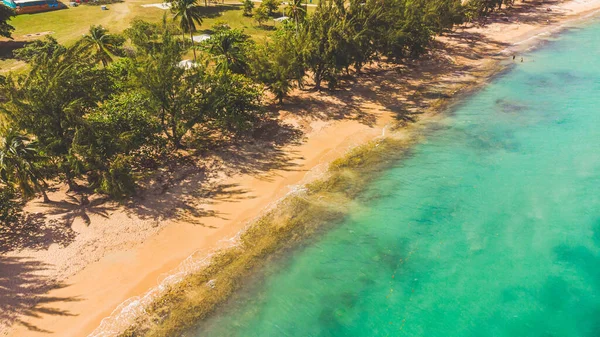 Seven Seas Beach Fajardo Puerto Rico Turquoise Waters Swimming Area — Zdjęcie stockowe