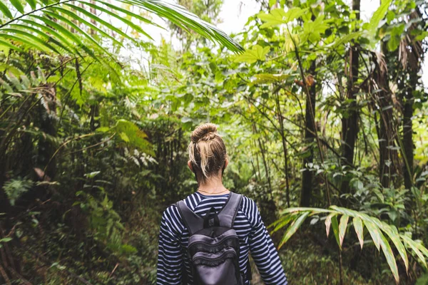 Female Hiker Backpack Trekking Footpath Tropical Rainforest Overcast Day Yunque — Stock Photo, Image