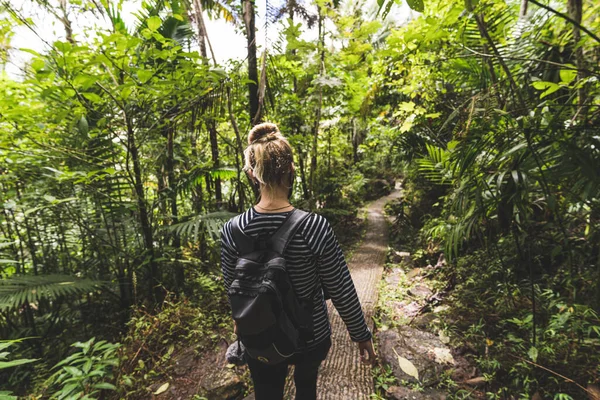 Female Hiker Backpack Trekking Footpath Tropical Rainforest Overcast Day Yunque — Stock Photo, Image