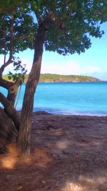 Rüzgarlı bir günde tropikal boş bir sahil, dikey çekim düzgün.