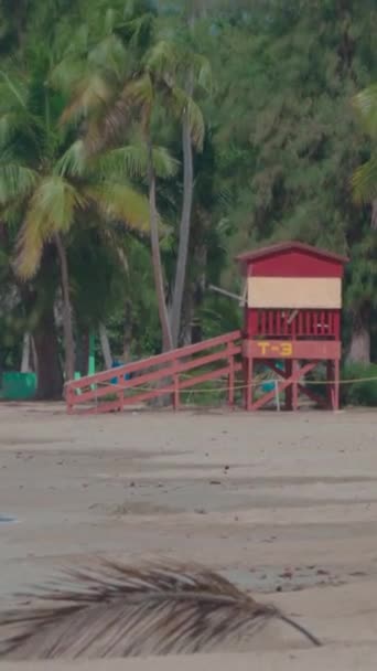 Vertikal Bild Tropisk Strand Med Palmer Och Röd Badvakt Torn — Stockvideo