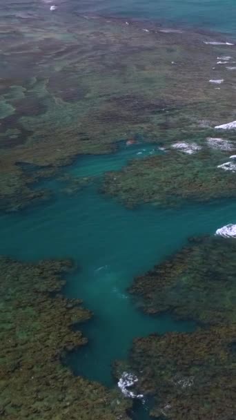 Plano Vertical Las Olas Que Estrellan Largo Playa Movimiento Cámara — Vídeo de stock