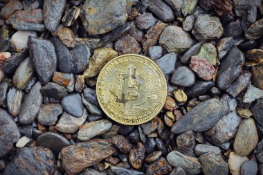 Çakıl taşlarının üzerine bir sikke.