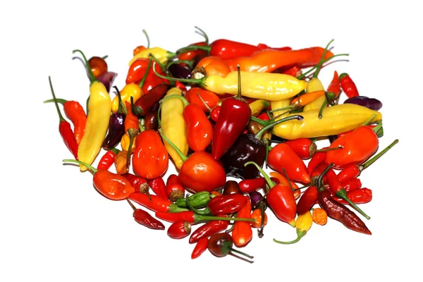Hot Chili Peppers Isolated White — Stock Photo, Image