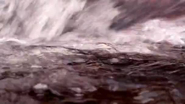 Strumień Wody Przyrodzie — Wideo stockowe