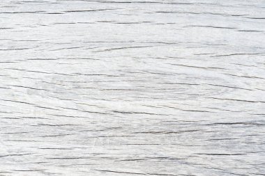 Eski ahşap çatallı, gri-beyaz tonlu. Duvar kağıdı veya arkaplan resmi için bunu kullanın. Metin için boş bir boşluk var