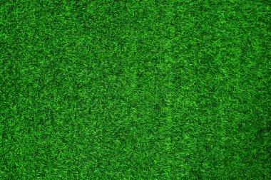 Green grass texture background grass garden concept used for making green background football pitch, Grass Golf, green lawn pattern textured background.	