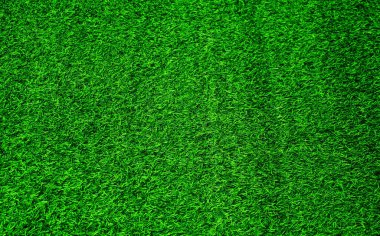 Green grass texture background grass garden concept used for making green background football pitch, Grass Golf, green lawn pattern textured background.	